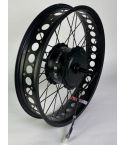 Bafang 48V 250w motor with wheel