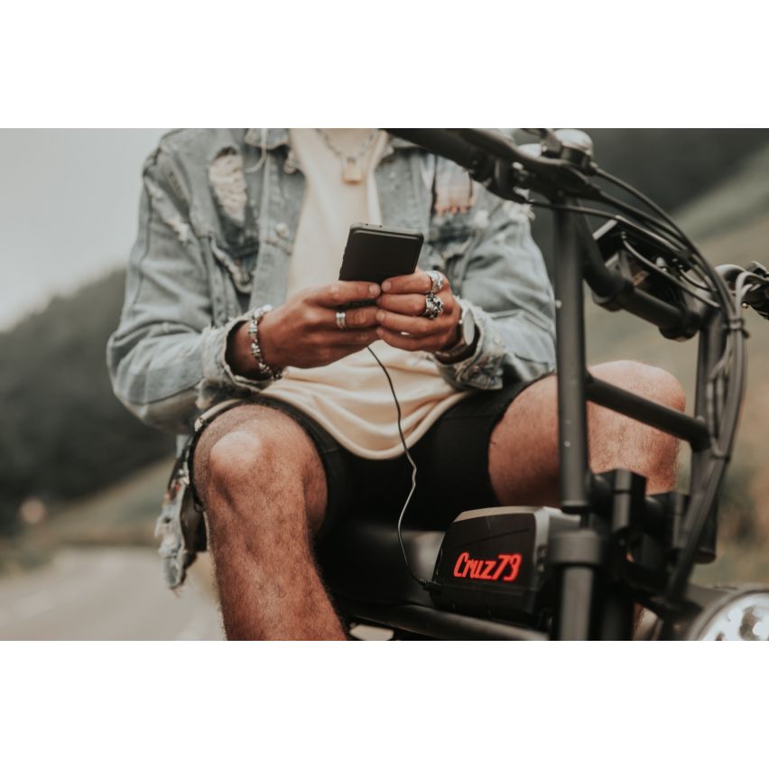Cruz73 Retro Electric Bike