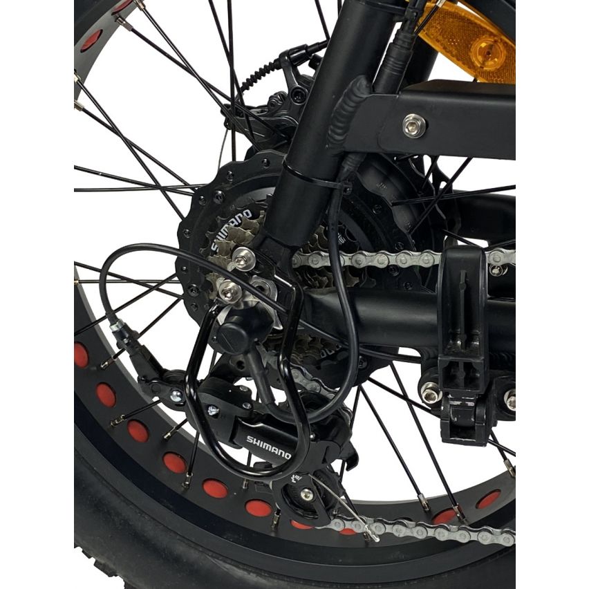 Cruz73 Retro Electric Bike
