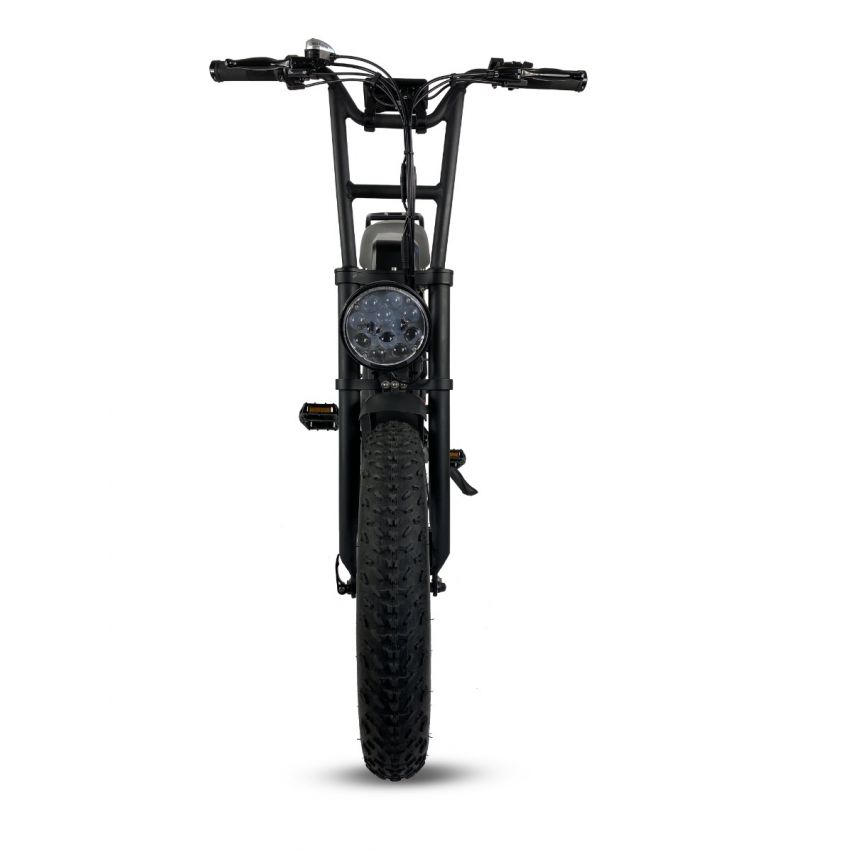 Cruz73 Retro Electric Bike