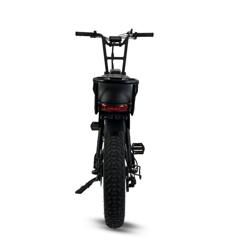 Cruz73 Retro Electric Bike